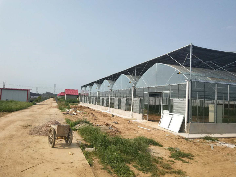 1639127431198272.jpg 1639127431198272.jpg