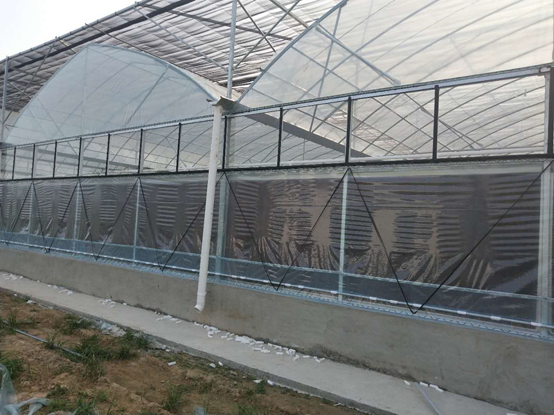 1639127460117665.jpg 1639127460117665.jpg