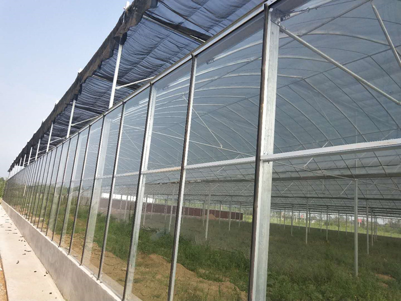 1639127483201582.jpg 1639127483201582.jpg