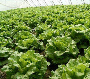 1652952061176467.jpg 1652952061176467.jpg