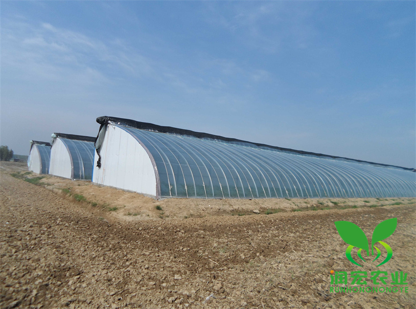 1653098959160160.jpg 主圖替換圖_副本_副本.jpg