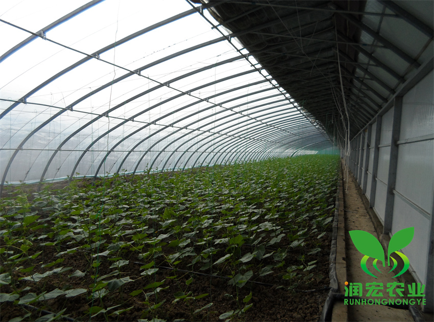 1653099029139082.jpg 替換圖3_副本_副本.jpg