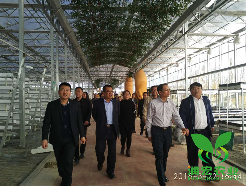 1653100393162396.jpg 2_副本_副本.jpg