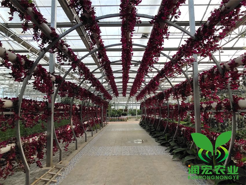 1653100405138707.jpg 3_副本_副本.jpg