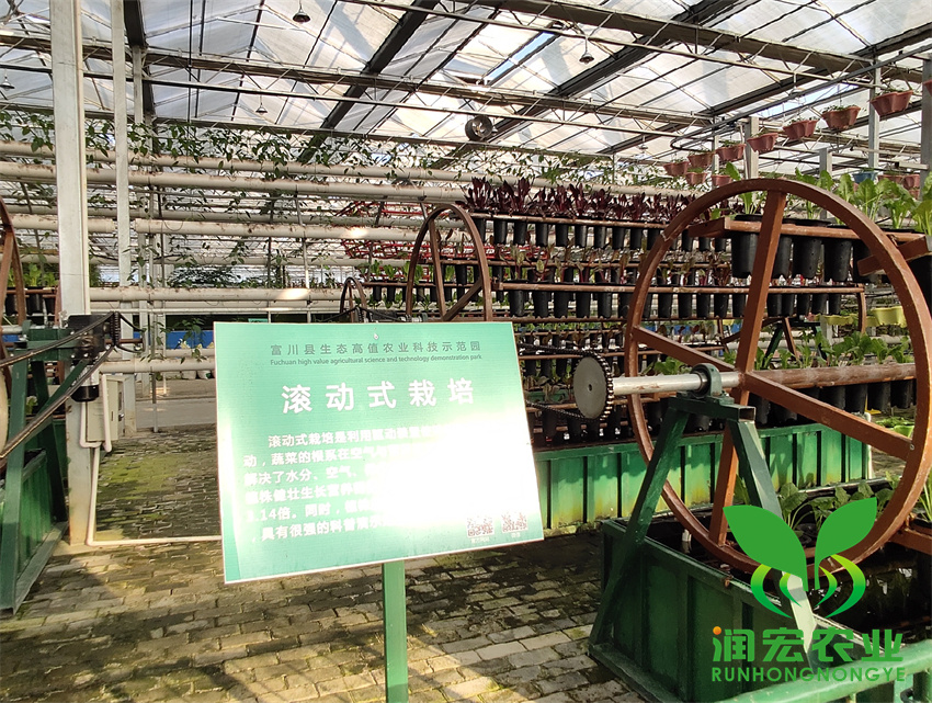 1653100414151044.jpg 4_副本_副本.jpg