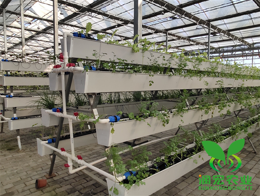 1653100423675950.jpg 5_副本_副本.jpg