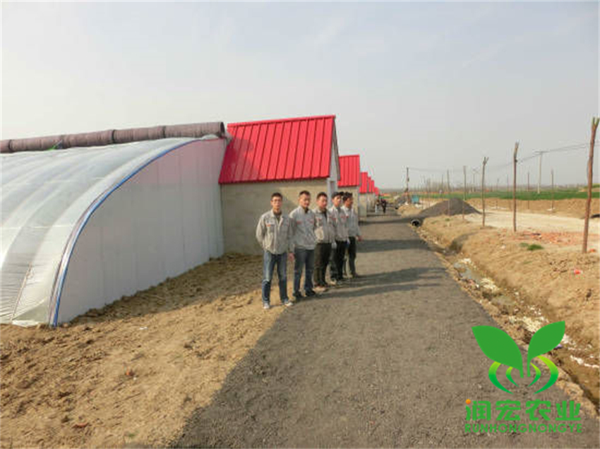 1653101734199840.jpg mmexport1653100883226_副本.jpg