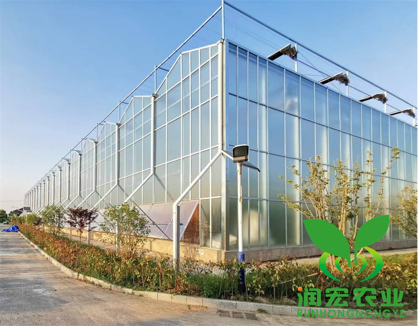 安徽懷遠(yuǎn)縣高科技栽培展示廳建設(shè)及管護(hù)項(xiàng)目