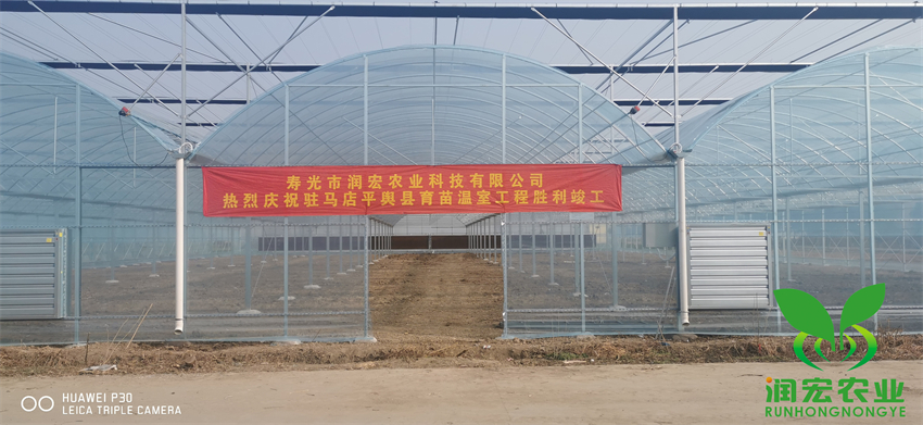 河南駐馬店平輿縣育苗溫室工程