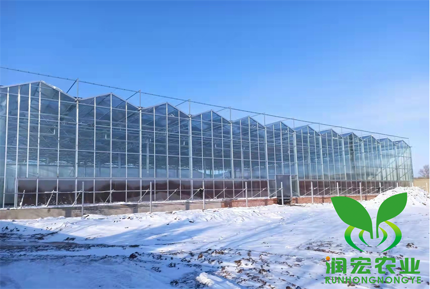 吉林市農(nóng)安縣龍御山莊項(xiàng)目