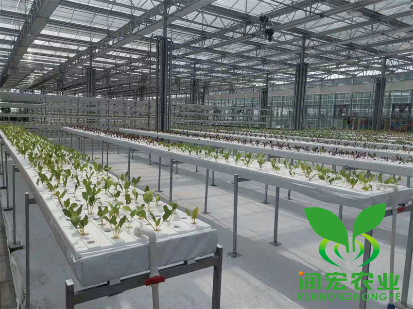 吉林松原玻璃溫室內(nèi)部無(wú)土栽培工程