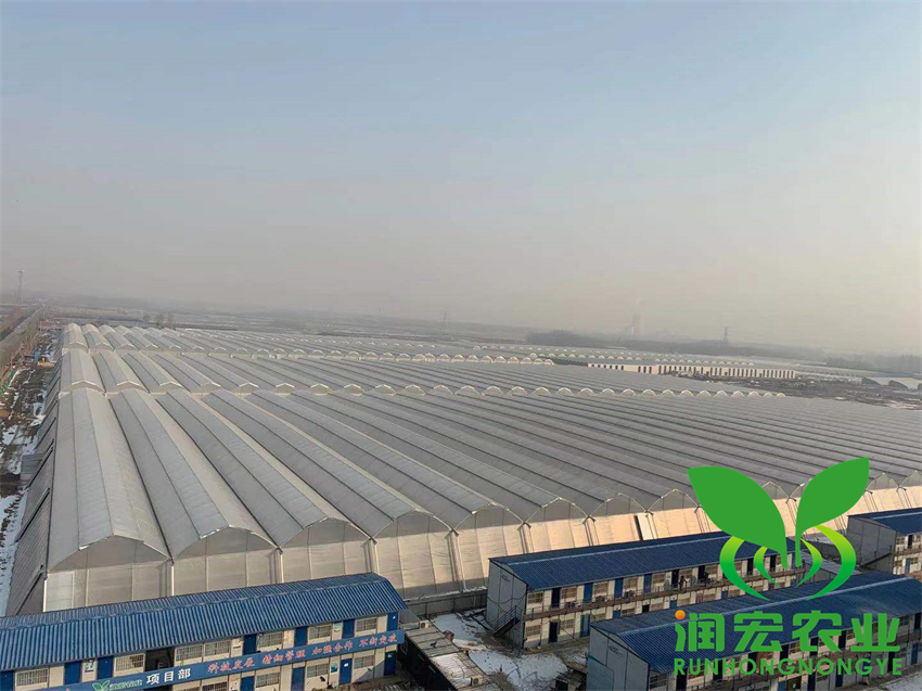 山東日照招賢曲坊現(xiàn)代農(nóng)業(yè)產(chǎn)業(yè)園