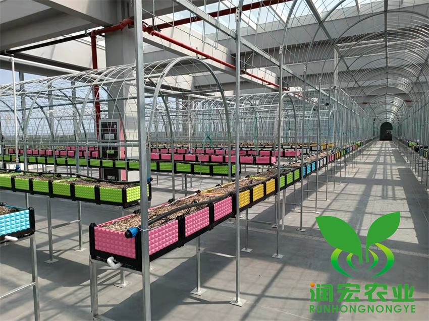 無(wú)錫無(wú)土栽培工地