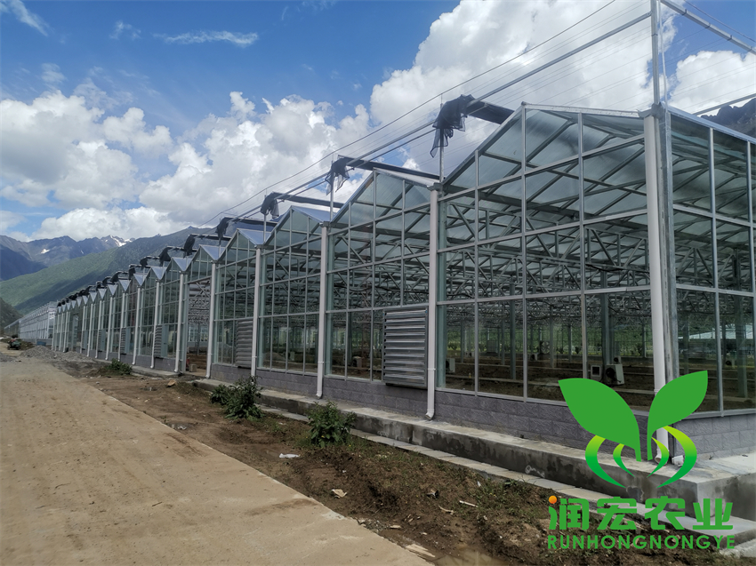 西藏?zé)o土栽培工地