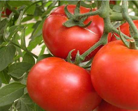 1655631194195350.jpg 1655631194195350.jpg