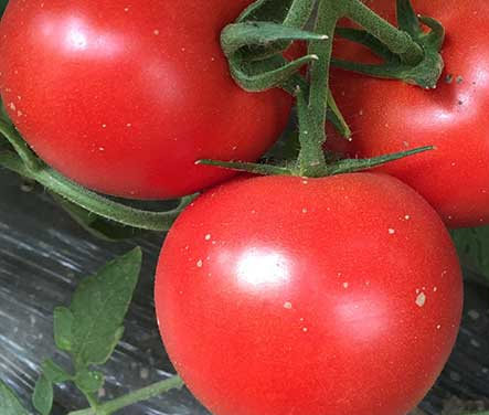 1655631226379834.jpg 1655631226379834.jpg