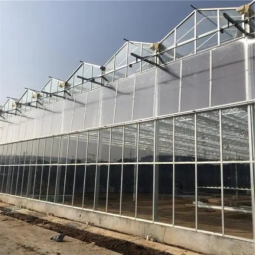 1655717145211511.jpg 1655717145211511.jpg