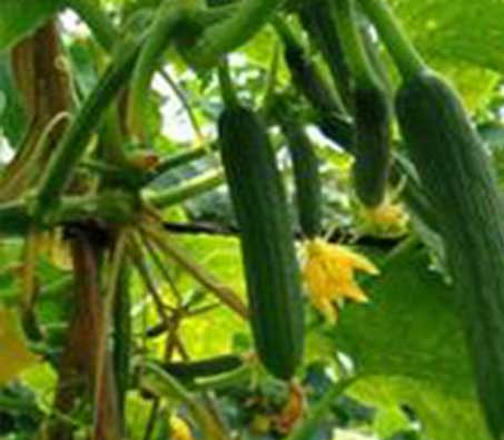 1655977374185054.jpg 1655977374185054.jpg