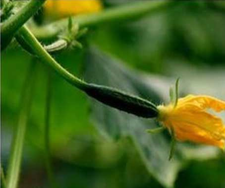 1655977414691694.jpg 1655977414691694.jpg