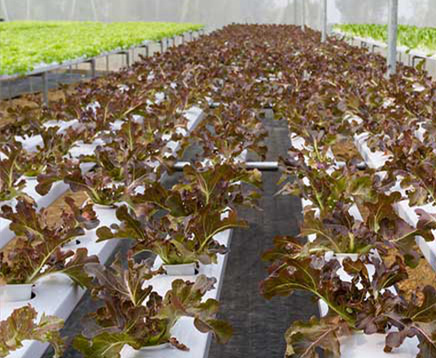 1656581969139094.jpg 1656581969139094.jpg