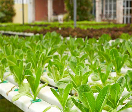 1656581992309276.jpg 1656581992309276.jpg