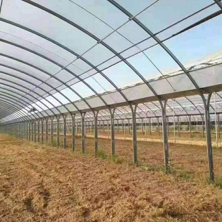 1657530316208273.jpg 1657530316208273.jpg