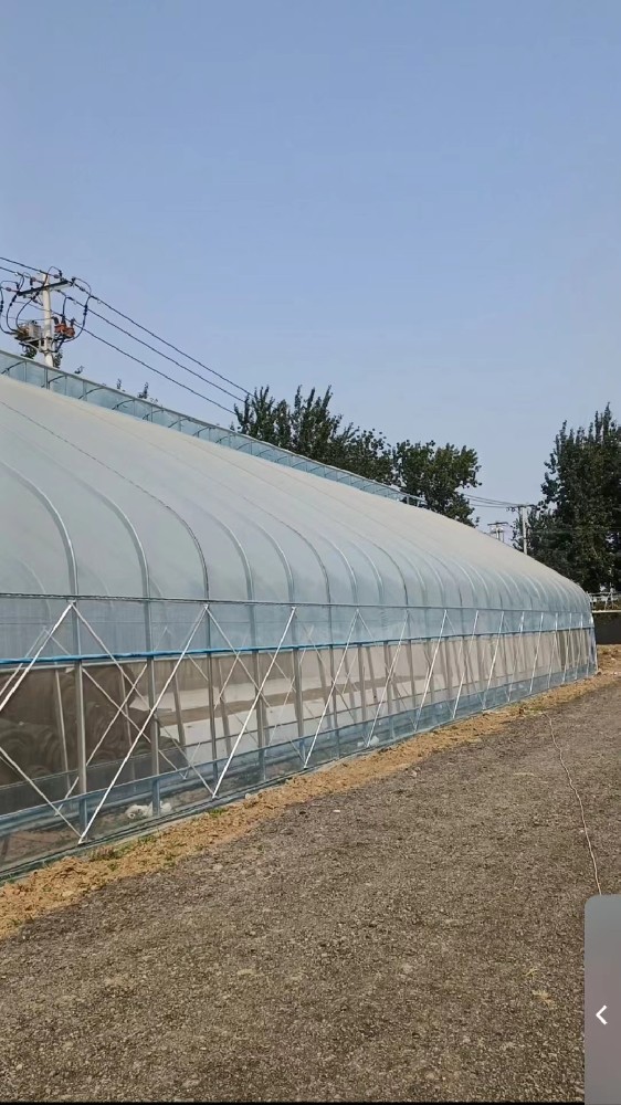 大棚套小棚,雙坡面日光溫室