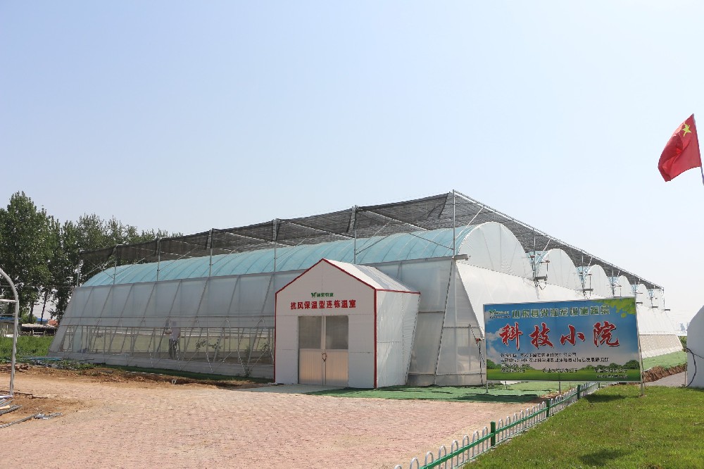 連棟型抗風(fēng)保溫溫室