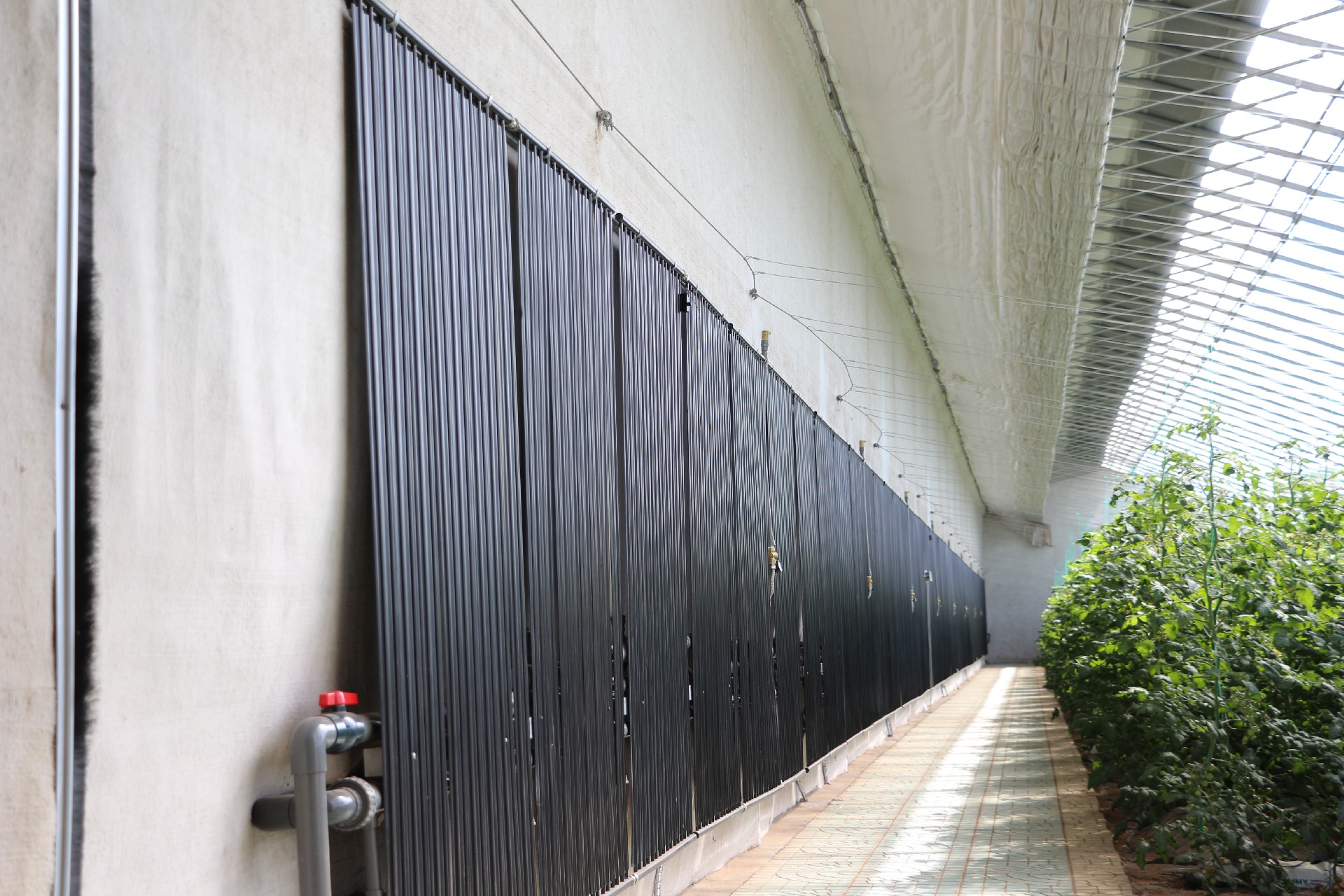 1711960922112688.jpg IMG_0721.JPG