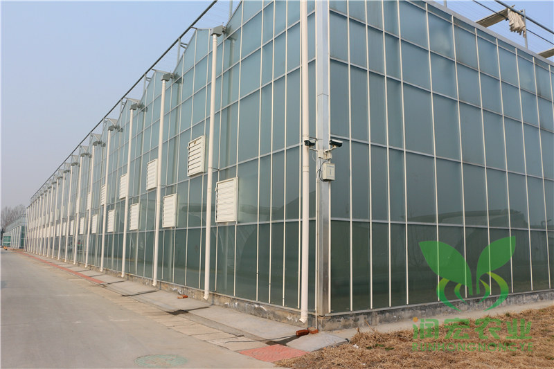 玻璃智能溫室