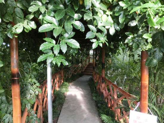 天津天羽翔生態(tài)園