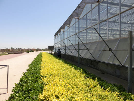 天津天羽翔生態(tài)園