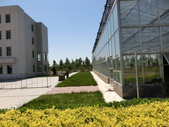 天津天羽翔生態(tài)園