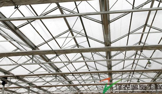 浙江衢州沃華莊園