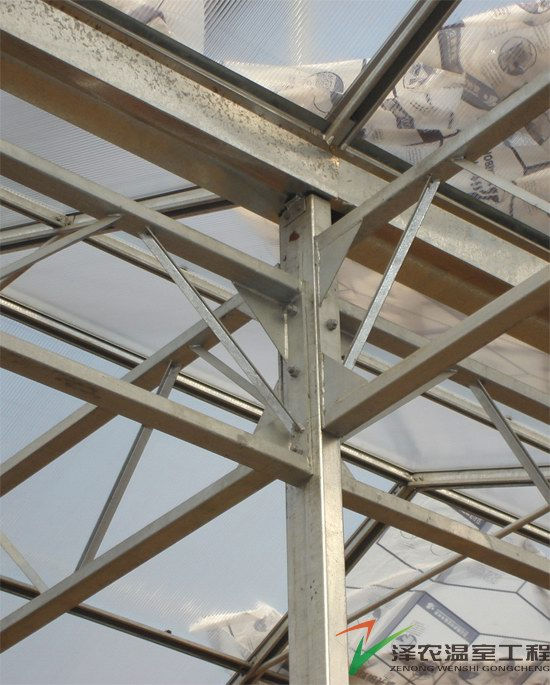 浙江衢州沃華莊園