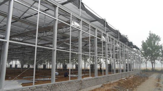 聊城現(xiàn)代農(nóng)業(yè)示范園