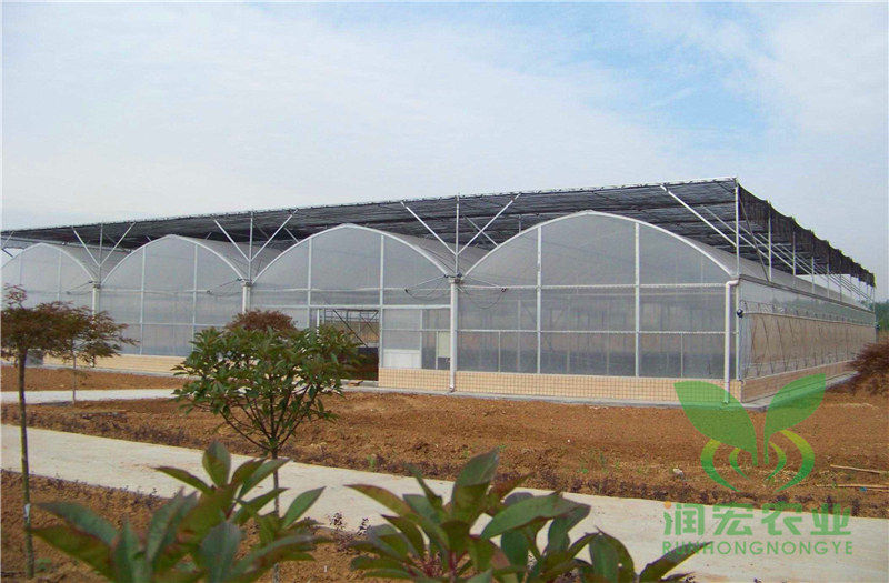 單膜連棟溫室