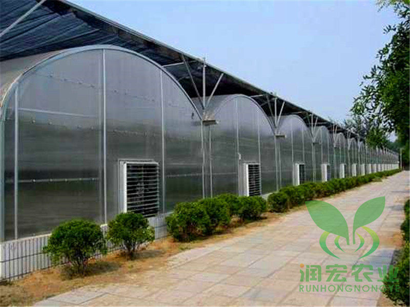 單膜連棟溫室