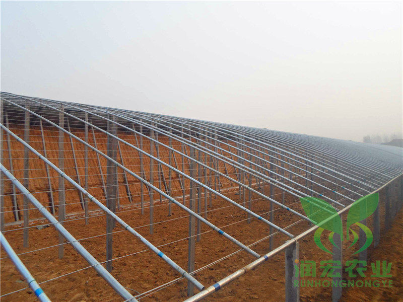 立柱日光溫室
