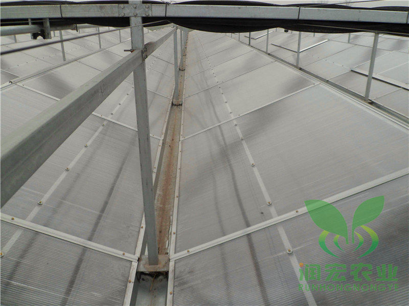 陽(yáng)光板智能溫室