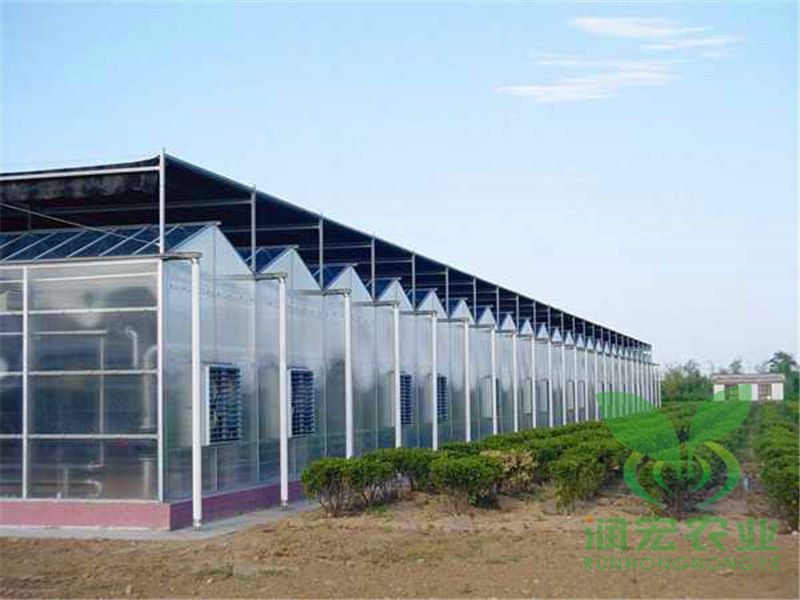 陽(yáng)光板智能溫室