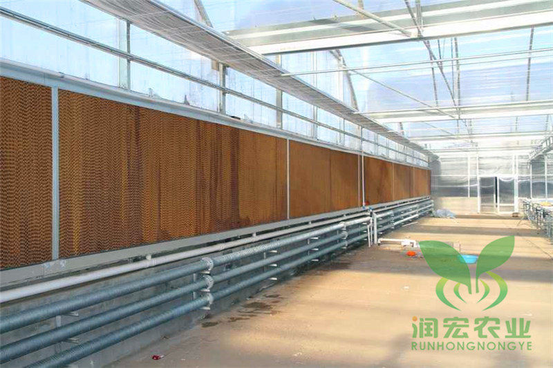 陽(yáng)光板智能溫室