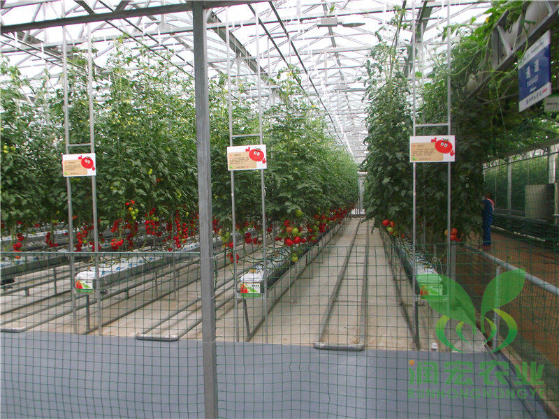 陽(yáng)光板智能溫室